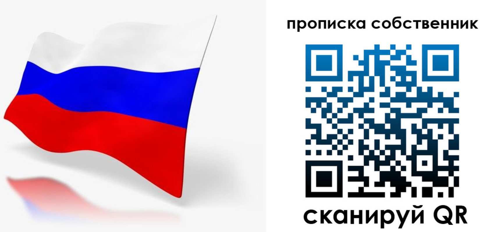 прописка в квартире в Владимирской области